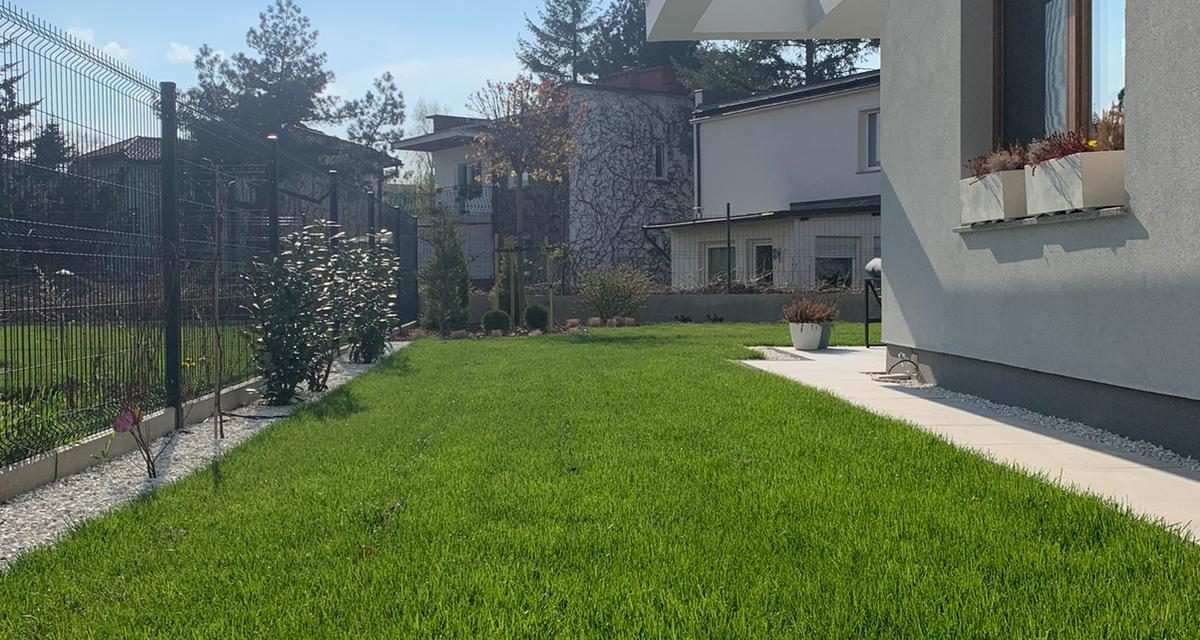 jak dbać o trawę świdnica