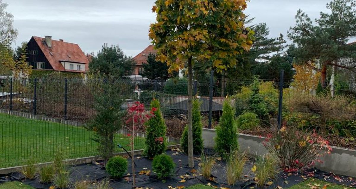 korekcja drzew Świdnica