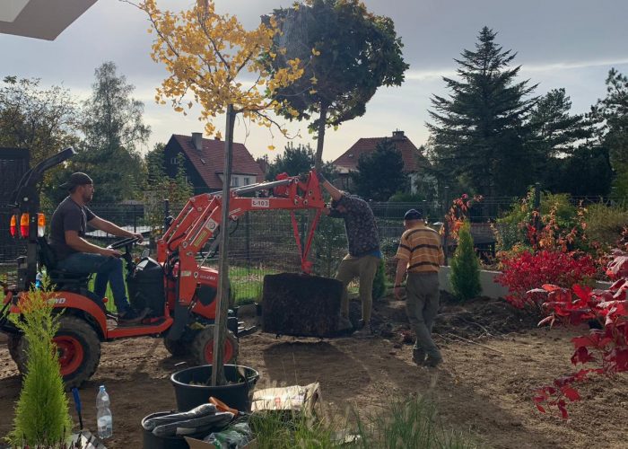 ładny projekt ogrodu