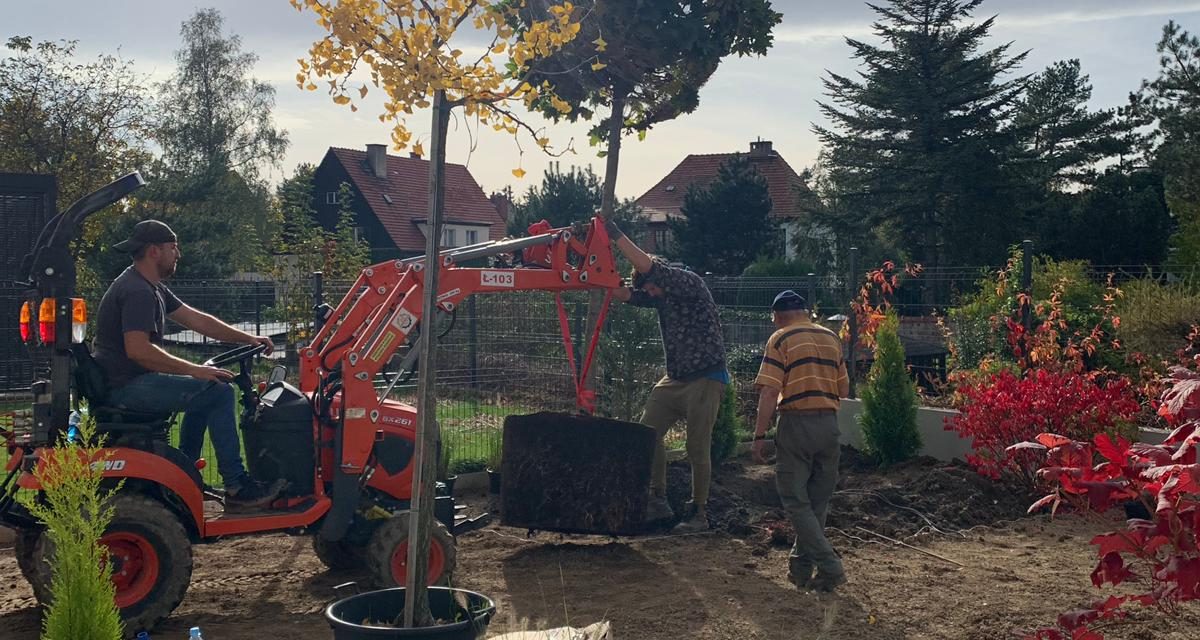 ładny projekt ogrodu
