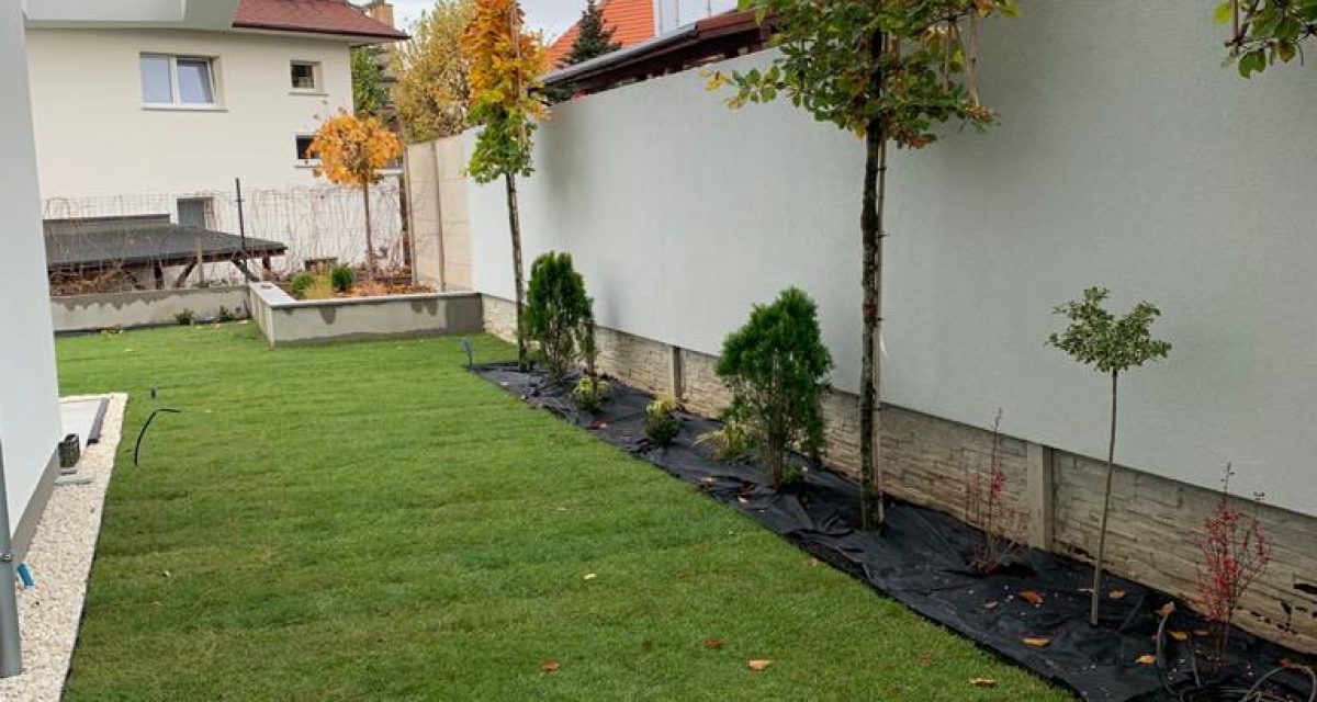sadzenie roślin świdnica